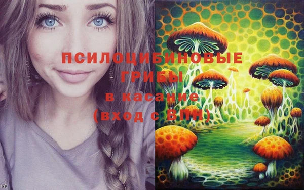 молекула духа Алексеевка