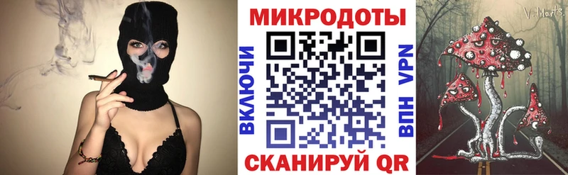 закладка  Чайковский  Псилоцибиновые грибы Magic Shrooms 